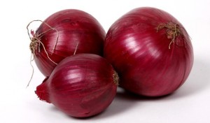 onion_fennel_bisque