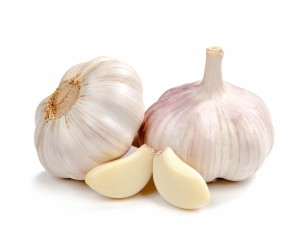 garlic-07